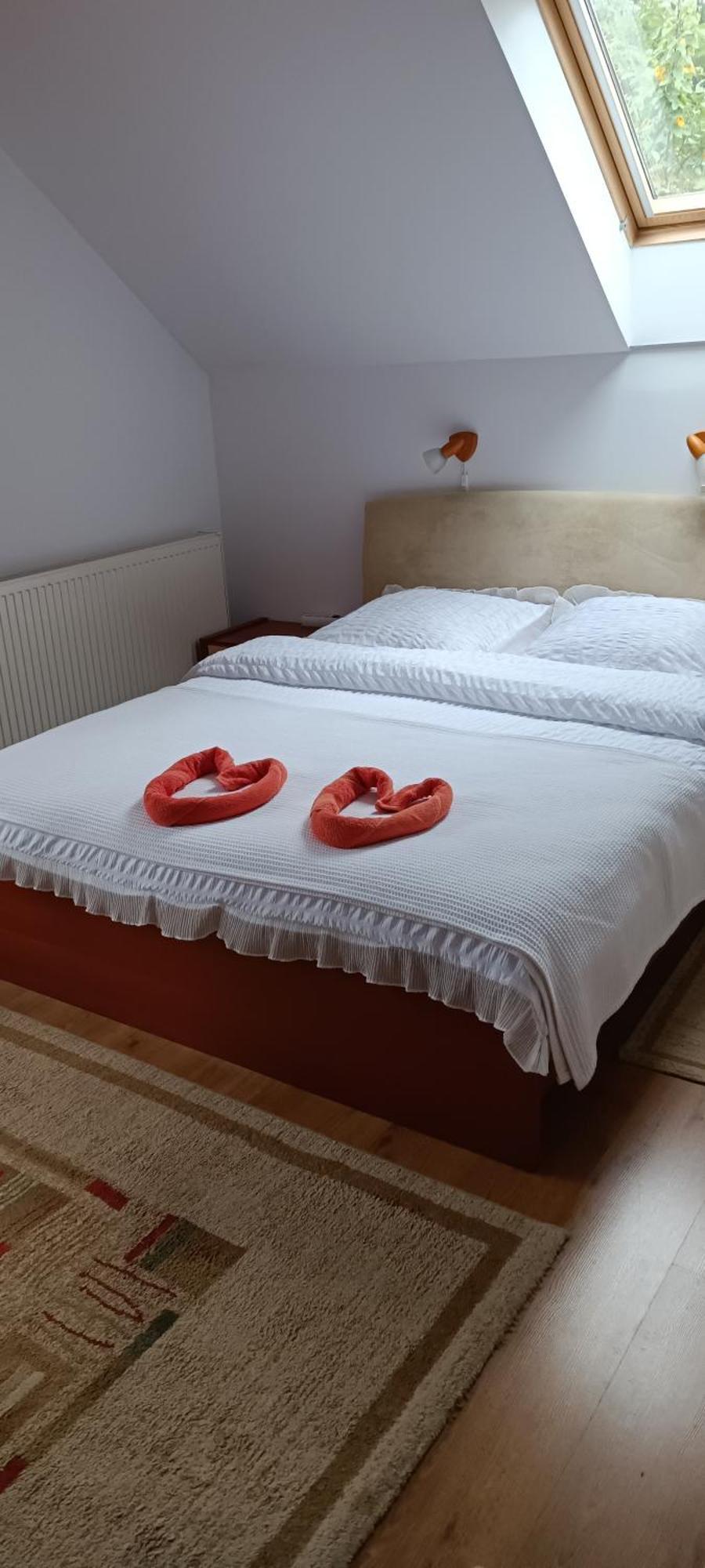 Pasager House Διαμέρισμα Sovata Εξωτερικό φωτογραφία