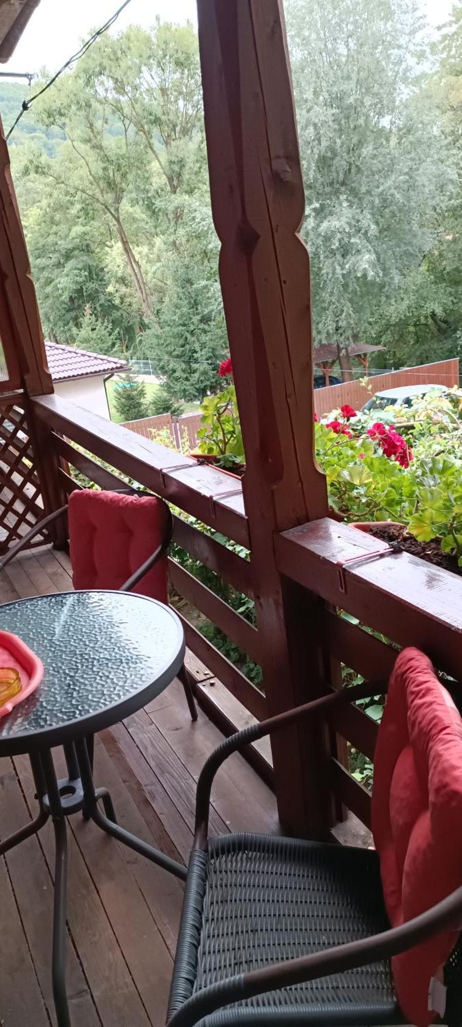 Pasager House Διαμέρισμα Sovata Εξωτερικό φωτογραφία