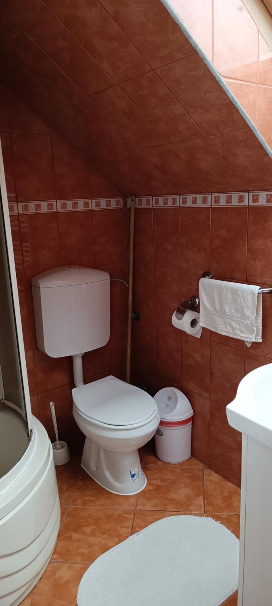 Pasager House Διαμέρισμα Sovata Δωμάτιο φωτογραφία