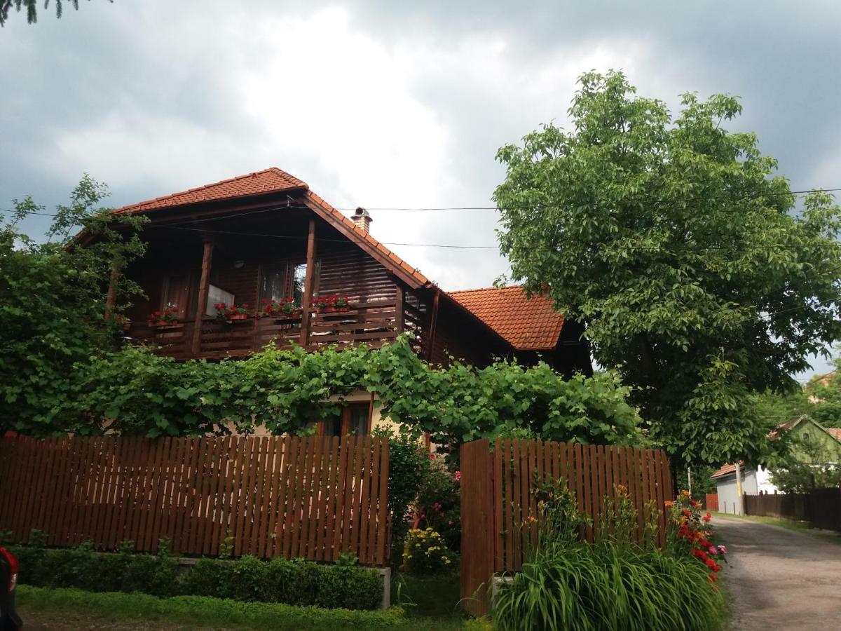 Pasager House Διαμέρισμα Sovata Εξωτερικό φωτογραφία